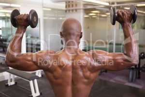 Muscular man exercising with dumbbells in gym