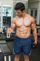 Shirtless muscular man exercising with dumbbells in gym