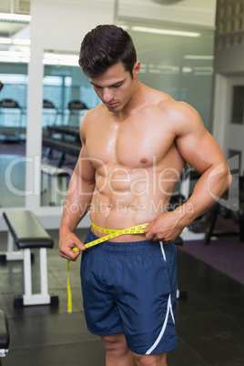 Shirtless muscular man measuring waist