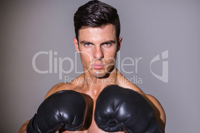 Close-up portrait of a shirtless muscular boxer