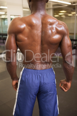 Rear view of a shirtless bodybuilder