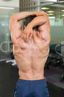 Rear view of a bodybuilder in gym