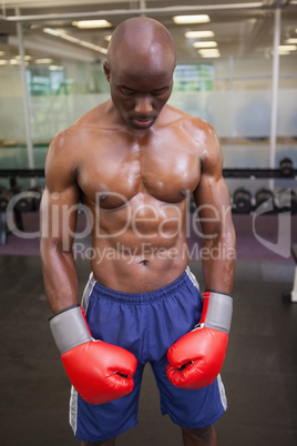 Muscular boxer in health club