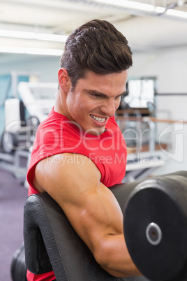 Muscular man exercising with dumbbell in gym