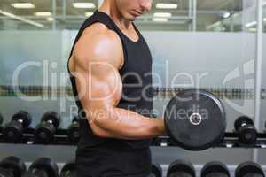 Muscular man exercising with dumbbell in gym