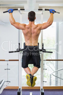 Male body builder doing pull ups at the gym