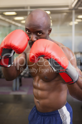Muscular boxer in defensive stance