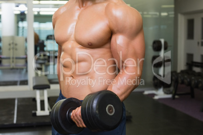 Mid section of shirtless muscular man exercising with dumbbell