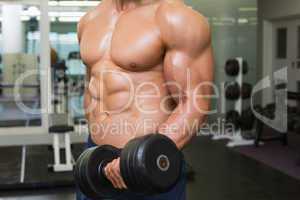 Mid section of shirtless muscular man exercising with dumbbell