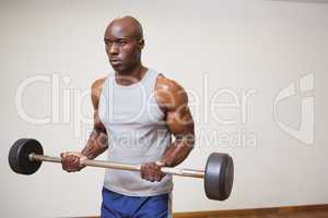 Muscular man lifting barbell in gym