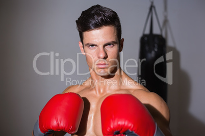 Portrait of a serious muscular boxer