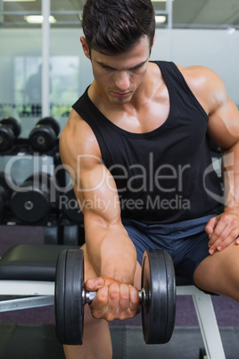 Muscular man exercising with dumbbell in gym