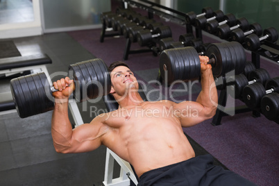 Muscular man exercising with dumbbells in gym