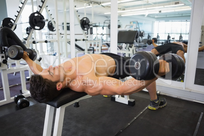 Muscular man exercising with dumbbells in gym