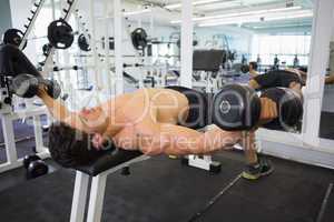 Muscular man exercising with dumbbells in gym