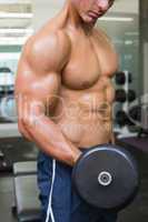 Mid section of shirtless muscular man exercising with dumbbell
