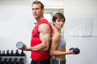 Fit couple lifting dumbbells together looking at camera