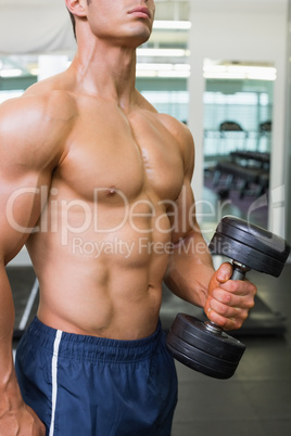 Mid section of shirtless muscular man exercising with dumbbell