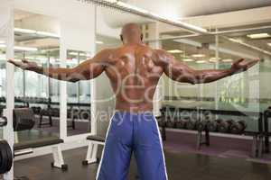 Rear view of a shirtless bodybuilder
