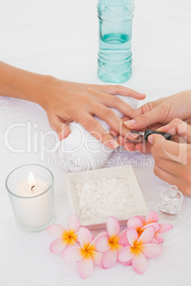 Beautician applying nail varnish to female clients nails