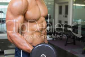 Mid section of shirtless muscular man exercising with dumbbell