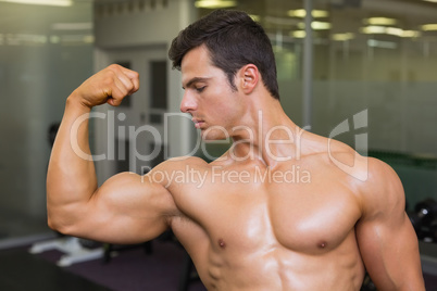 Muscular man flexing muscles in gym