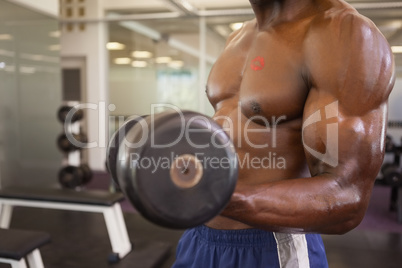 Muscular man exercising with dumbbell in gym