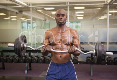 Muscular man lifting barbell in gym