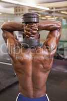 muscular man exercising with dumbbell in gym