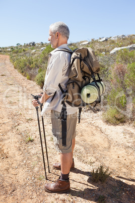 Handsome hiker looking at the scenery in the countryside