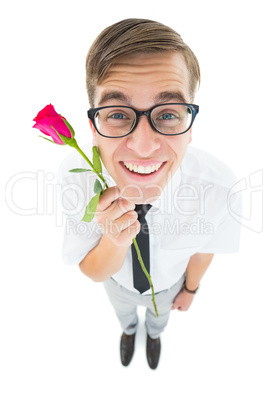 Geeky hipster holding a red rose