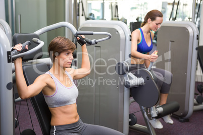 Healthy brunette using weights machine for arms