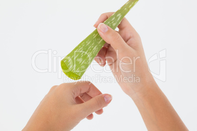 Close up of hands with aloe vera