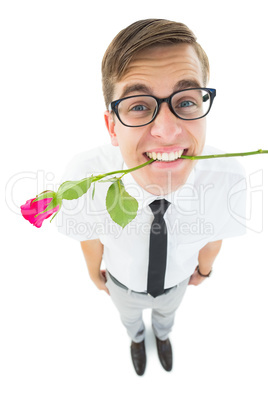 Geeky hipster holding a red rose in his teeth