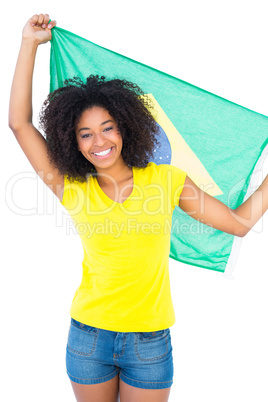 Pretty girl in yellow tshirt holding brazilian flag smiling at c