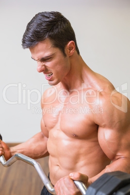 Shirtless muscular man lifting barbell in gym