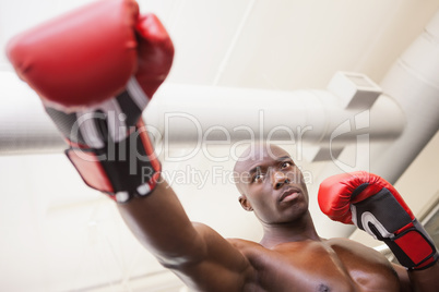 Male boxer attacking with his right in health club