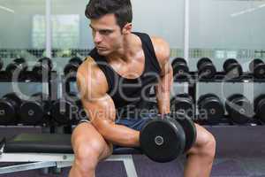 Young muscular man exercising with dumbbell