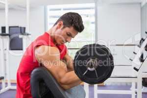 Muscular man lifting barbell in gym