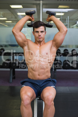 Muscular man exercising with dumbbells in gym