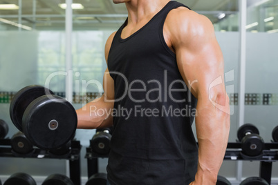 Muscular man exercising with dumbbell in gym