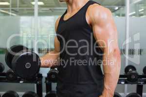 Muscular man exercising with dumbbell in gym