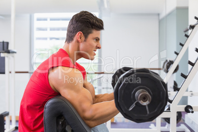 Muscular man lifting barbell in gym