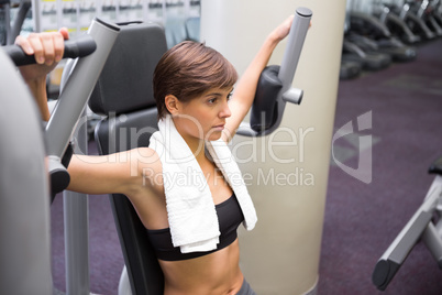Serious brunette using weights machine for arms Serious brunette using weights machine for arms