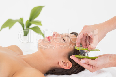 Attractive woman receiving aloe vera massage at spa center