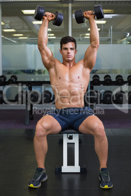 Muscular man exercising with dumbbells in gym