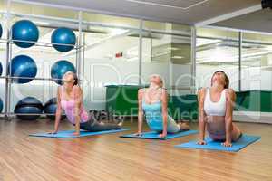Yoga class in cobra pose in fitness studio