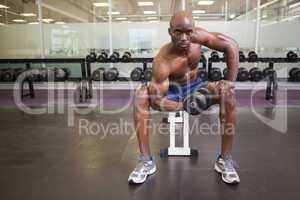 Muscular man exercising with dumbbell in gym