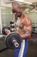 Muscular man lifting barbell in gym