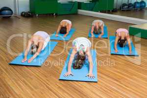Yoga class in childs pose in fitness studio